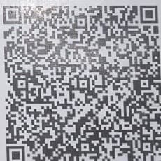 Shrimad Dayanand Bal Sadan Official UPI QR Code